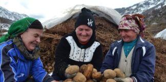 BE ndihmon dhe financon 360 fermerë në zonën e Librazhdit