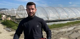 Njihuni me Olsin, i riu që prodhon dhe eksporton 360 tonë luleshtrydhe “Made in Albania”