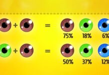 VIDEO/ Si ndikon gjenetika në tiparet që do kenë fëmijët tuaj