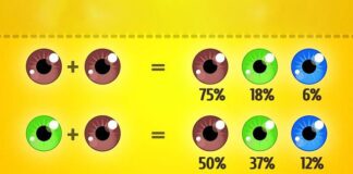 VIDEO/ Si ndikon gjenetika në tiparet që do kenë fëmijët tuaj