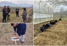 Nxitja e të rinjve në bujqësi, projekti që financohet nga BE