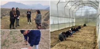 Nxitja e të rinjve në bujqësi, projekti që financohet nga BE