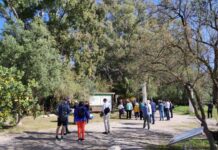 “Dallëndyshet” e para/ Italianë, francezë e gjermanë vizitojnë parkun e Butrintit