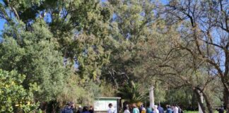 “Dallëndyshet” e para/ Italianë, francezë e gjermanë vizitojnë parkun e Butrintit