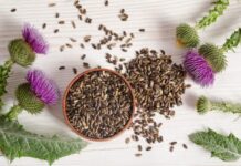 Vetitë kuruese të gjembakut të qumështit