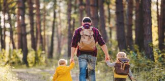 Del studimi i BSH/ Sa pasuri ka mesatarisht një familje shqiptare