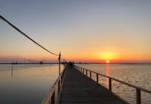 Divjaka kthehet në të preferuarën e turistëve, shifrat e vizitorëve në janar-prill