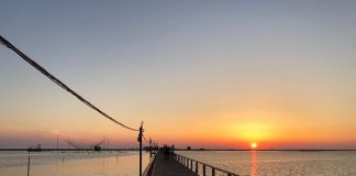 Divjaka kthehet në të preferuarën e turistëve, shifrat e vizitorëve në janar-prill