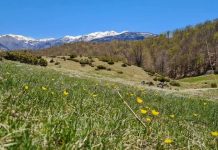 FOTOT/ Parku Kombëtar Shebenik-Jabllanicë destinacioni i çdo stinë