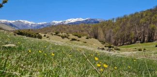 FOTOT/ Parku Kombëtar Shebenik-Jabllanicë destinacioni i çdo stinë