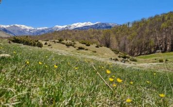 FOTOT/ Parku Kombëtar Shebenik-Jabllanicë destinacioni i çdo stinë