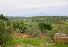 Nis ndërtimi i inkubatorit bujqësor në Belsh,mundësi e artë për fermerët e zonës