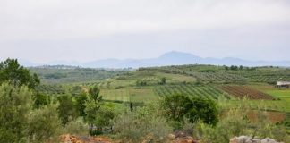 Nis ndërtimi i inkubatorit bujqësor në Belsh,mundësi e artë për fermerët e zonës