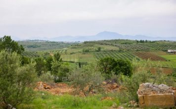 Nis ndërtimi i inkubatorit bujqësor në Belsh,mundësi e artë për fermerët e zonës