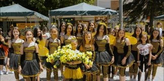 FOTOT/ Bletët vallëzojnë në qytet, Korça feston festën e mjaltit