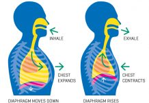 A e dini sa litra ajër thithim në ditë?