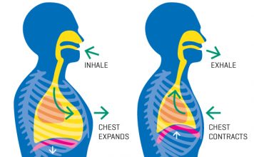 A e dini sa litra ajër thithim në ditë?