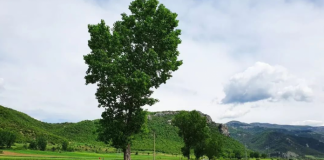 FOTOT/ Drejt përfundimit asfaltimi i rrugës Përmet-Çarshovë