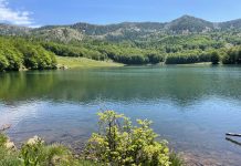 FOTOT/ Liqenet e Balgjajt, mrekullia natyrore që të lë pa fjalë