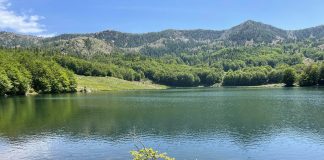 FOTOT/ Liqenet e Balgjajt, mrekullia natyrore që të lë pa fjalë