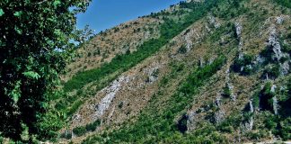 Zemra blu e Ballkanit shpallet Park Kombëtar – Vjosa, lumi i fundit i egër i Europës