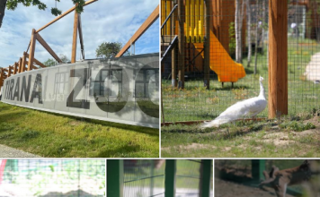 FOTOT/ Hapet Kopshti Zoologjik i Tiranës, shihni se si duket