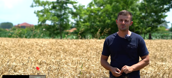 FOTO/ 29 vjeçari nga Durrësi mbjell 137 hektarë tokë me grurë dhe misër – Njihuni me Erlinin