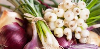 Antibiotikët natyralë që shkatërrojnë infeksionet. Ja lista