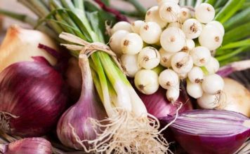 Antibiotikët natyralë që shkatërrojnë infeksionet. Ja lista