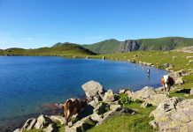 FOTOT/ Liqeni i Dashit, njihuni me mrekullinë e Alpeve shqiptare