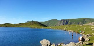 FOTOT/ Liqeni i Dashit, njihuni me mrekullinë e Alpeve shqiptare