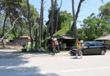 Vijon procesi i dizinsektimit në Divjakë, për mbrojtjen e shëndetit dhe krijimin e kushteve për turistët