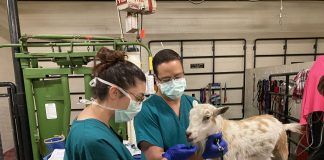 Ministria e Bujqësisë shpall 38 vende pune, apliko nëse je nga këto 3 qytete