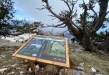 FOTOT/ Destinacioni mbresëlënës, Parku Kombëtar Llogora “ndryshon” pamje