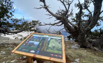 FOTOT/ Destinacioni mbresëlënës, Parku Kombëtar Llogora “ndryshon” pamje
