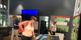 FOTO/ Parku Kombëtar i Llogorasë vizitohet nga 110 mijë turistë