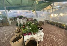 “Toka në Shkollë”, një serë sera e dedikuar për fëmijët me aftësi të kufizuara në Tiranë