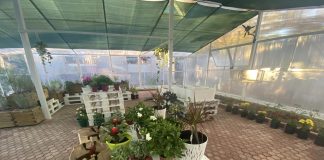 “Toka në Shkollë”, një serë sera e dedikuar për fëmijët me aftësi të kufizuara në Tiranë