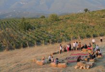 “Festivali i verës” në 17 shtator tek Pazari i Ri