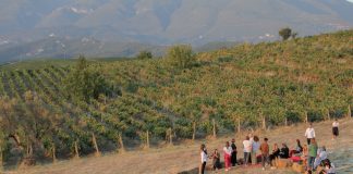 “Festivali i verës” në 17 shtator tek Pazari i Ri