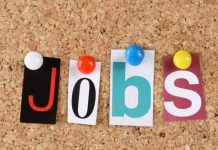 Mundësi punësimi në ministrinë e Mbrojtjes në fushën e mbrojtjes kibernetike, ja si të aplikoni