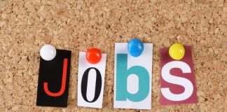 Mundësi punësimi në ministrinë e Mbrojtjes në fushën e mbrojtjes kibernetike, ja si të aplikoni