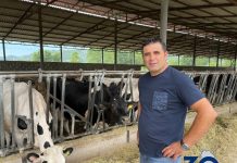 Historia e Luanit, fermerit që prodhon mbi 1.000 litra qumësht lope në ditë