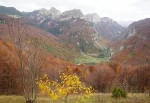 FOTOGALERI/ Çeremi, fshati alpin që të mahnit me peizazhin e tij të artë