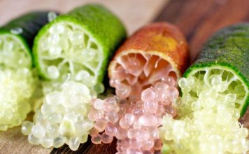 A e dini se varieteti më i rrallë i limonit në botë rritet në Shqipëri