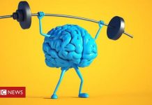 Ekspertja e Universitetit të Harvardit: Kjo është vitamina më të mirë për trurin