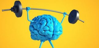 Ekspertja e Universitetit të Harvardit: Kjo është vitamina më të mirë për trurin