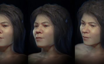 FOTO/ Rindërtohet fytyra e një gruaje që ka jetuar mbi 30 mijë vjet më parë në Çekinë e sotme