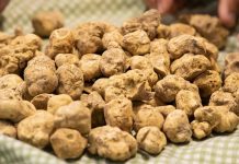 “Ari” i fshehur i Shqipërisë/ 3 mijë euro një kilogram, thesari që fshihet në malet tona