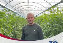 NJEREZIT E PUNES/ Njihuni me Ilian, sipërmarrësin e sukssesshëm të domateve